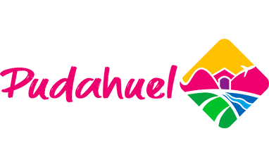 Cliente 7
